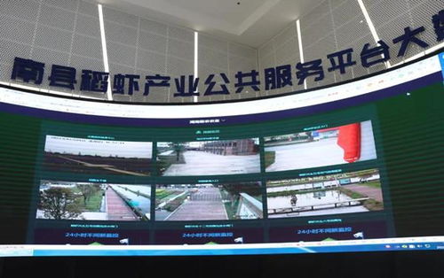 羅訊專題調研稻蝦產業發展與餐飲管理